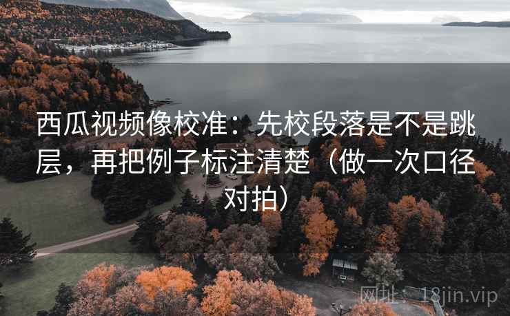 西瓜视频像校准：先校段落是不是跳层，再把例子标注清楚（做一次口径对拍）